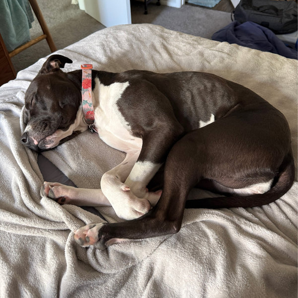 King Size Bed