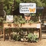 The Maui Butterfly Farm