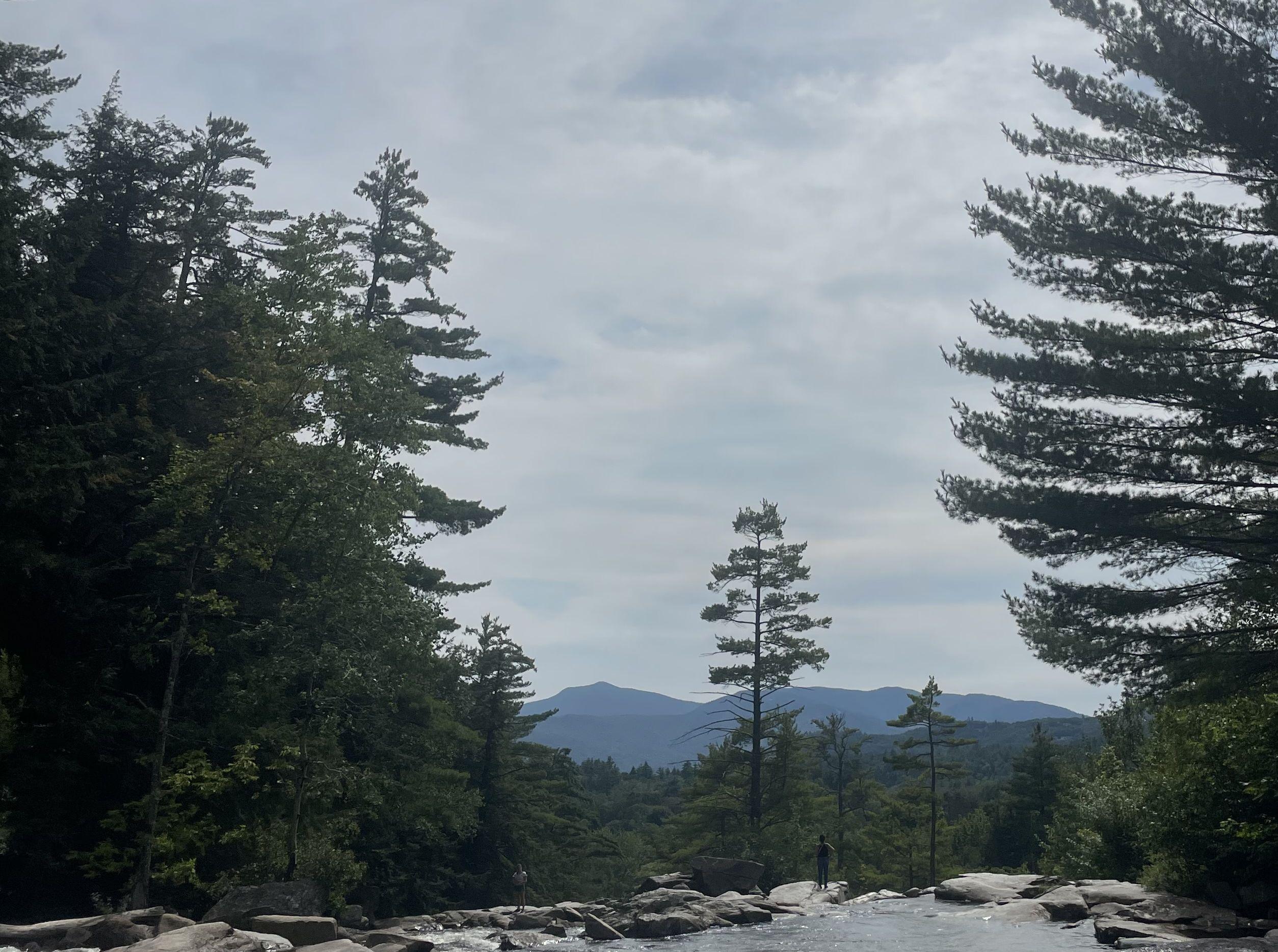 The Wedding Website of Sarah Morrone and Michael Stellenwerf