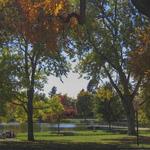 Washington Park