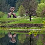 Morton Arboretum