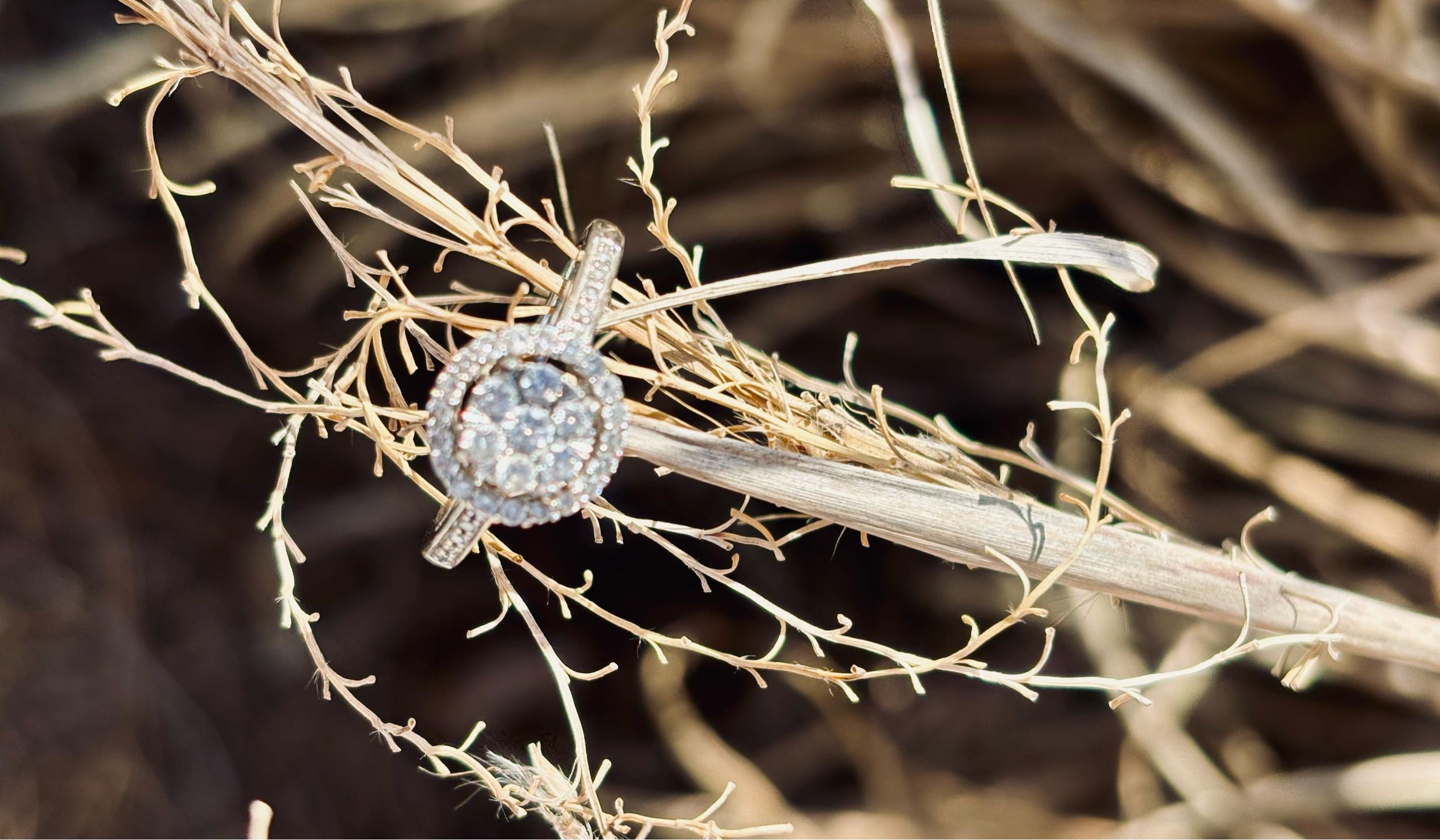 The Wedding Website of Ashley Walley and Phillip Jernigan