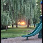 Wilson Park