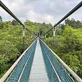 MacRitchie Reservoir