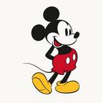 Walt Disney World Resort