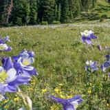 Hiking Summit County