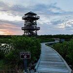 Robinson Preserve