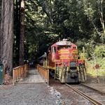 The Skunk Train & Rail Bikes