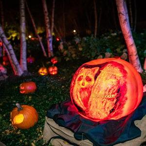 Date of the Month October - Night of 1,000 Jack-o'-Lanterns