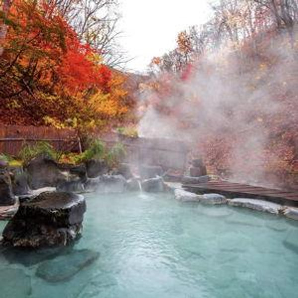 Japanese Onsen