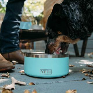 Boomer 8 Dog Bowl