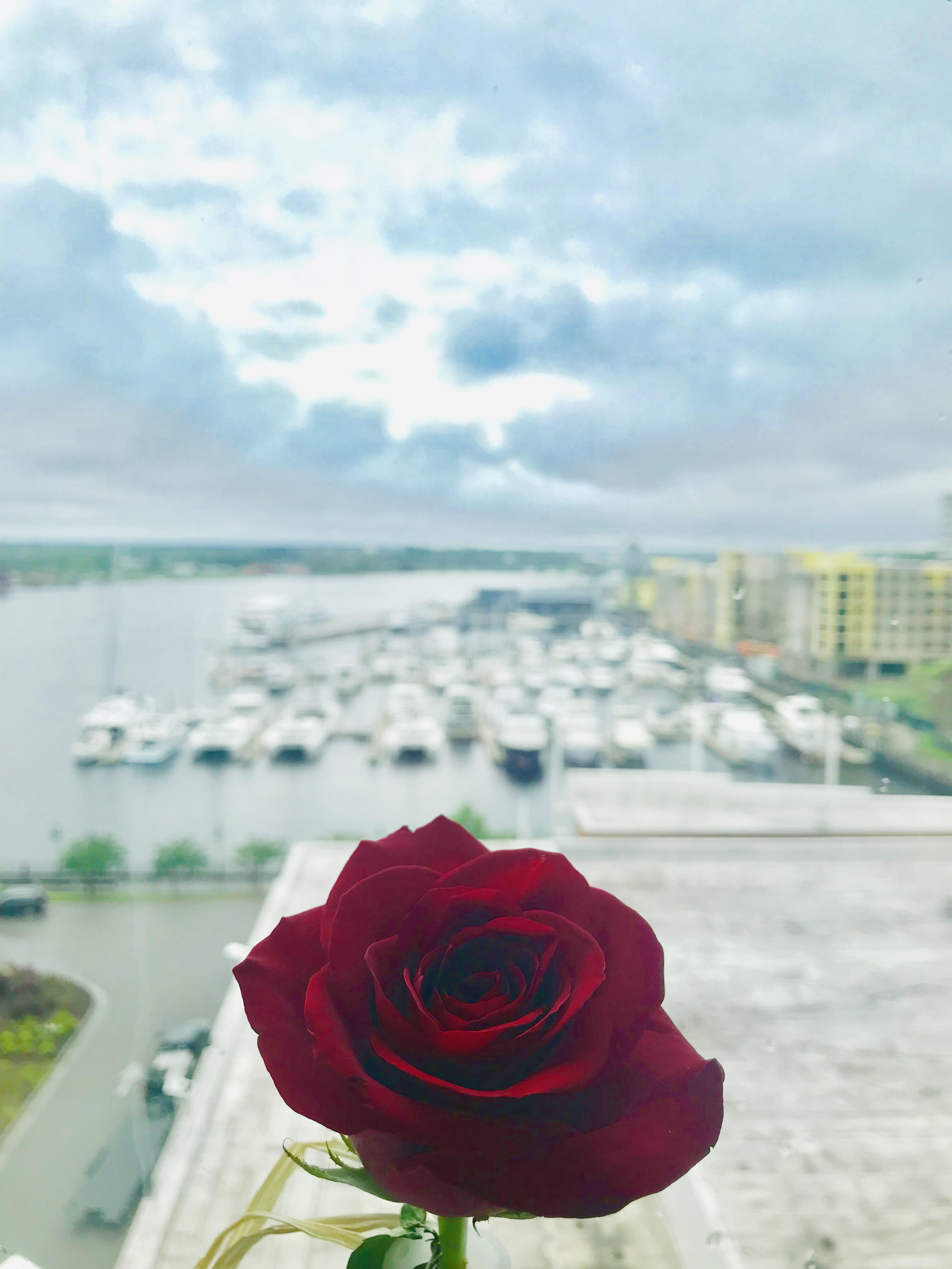 The Wedding Website of Lauren Giggard and Dean Diggett