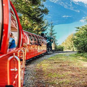 Scenic Train Ride through blooming meadows