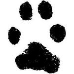 Vanderburgh Humane Society