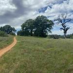 Foresthill Divide Loop Trailhead 1