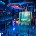Wonders Of Wildlife National Museum & Aquarium