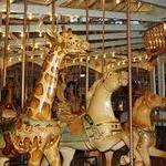 Amusement Parks