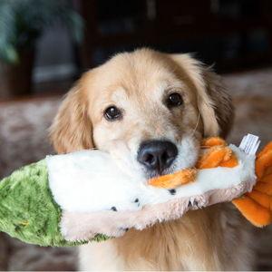 Fluff and Tuff | Ruby The Rainbow Trout Dog Toy