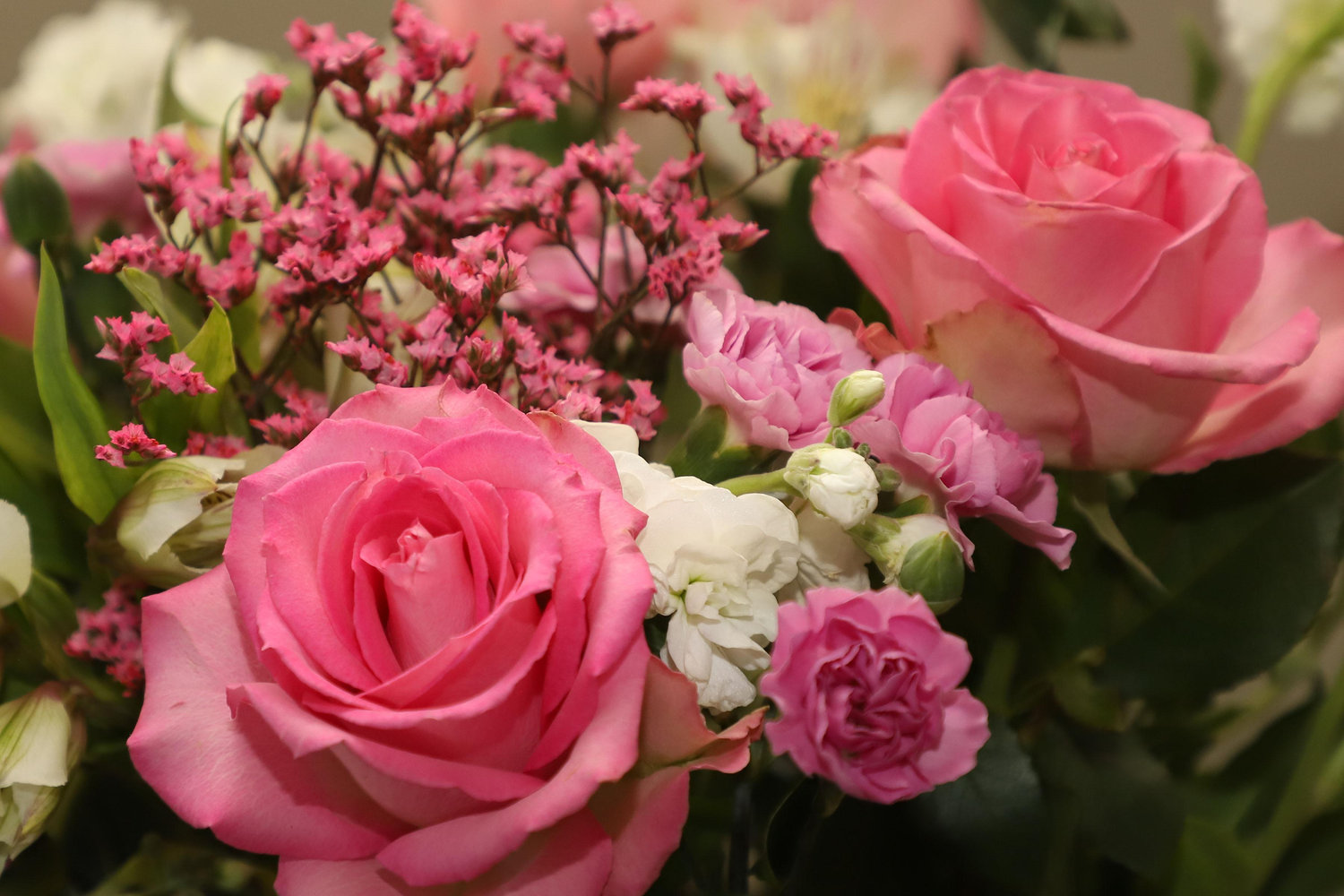 The Wedding Website of Kaveri Dixit and Saunders Arnold