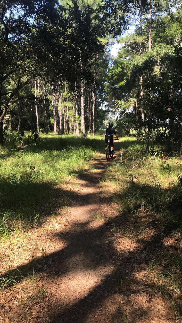 Riding bikes on Wilmington Island, Savannah