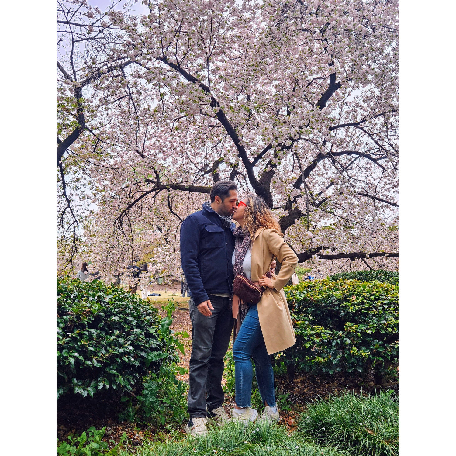 We love travel abroad. Cherry blossoms in Japan this past April..../ Nos encanta viajar al extranjero. Los cerezos en flor en Japón este pasado abril...