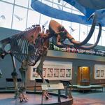 Museum of Florida History