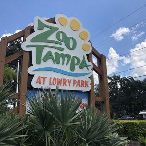 Tickets to the Zoo on our Honeymoon