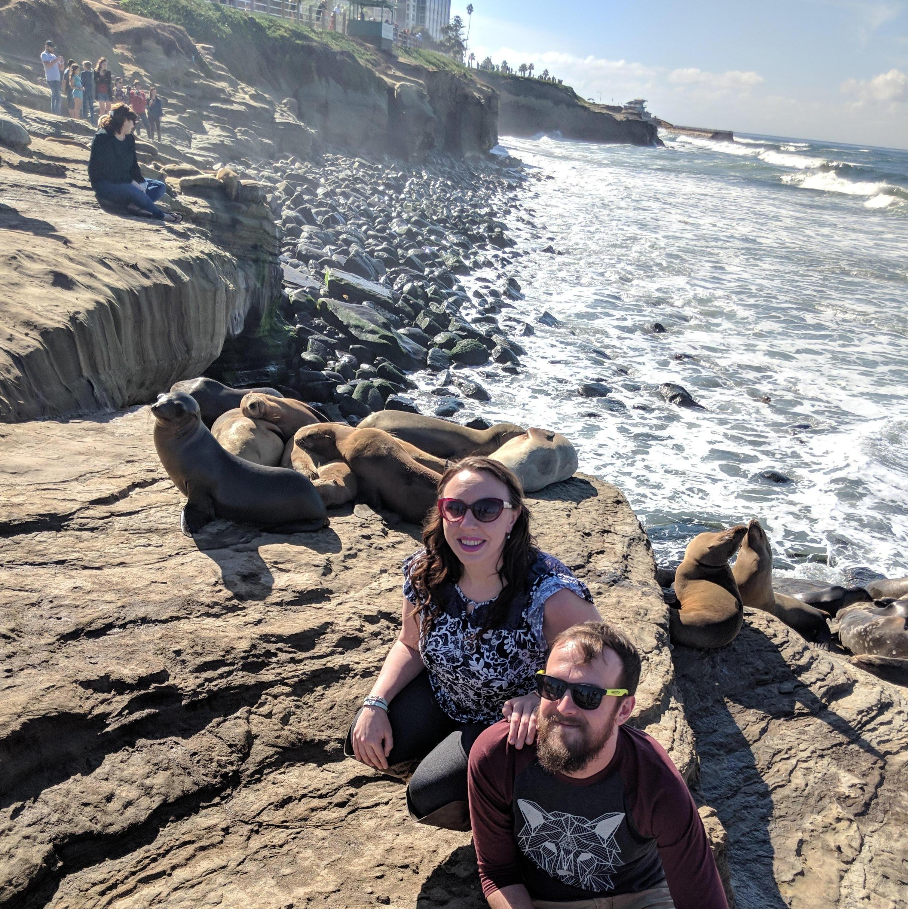SEALS!!
San Diego, CA
Thanksgiving 2018