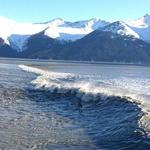 Beluga Point Bore Tide