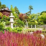 Golden Gate Park: San Francisco Botanical Garden