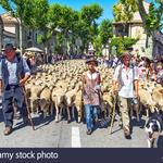 Saint-Rémy-de-Provence