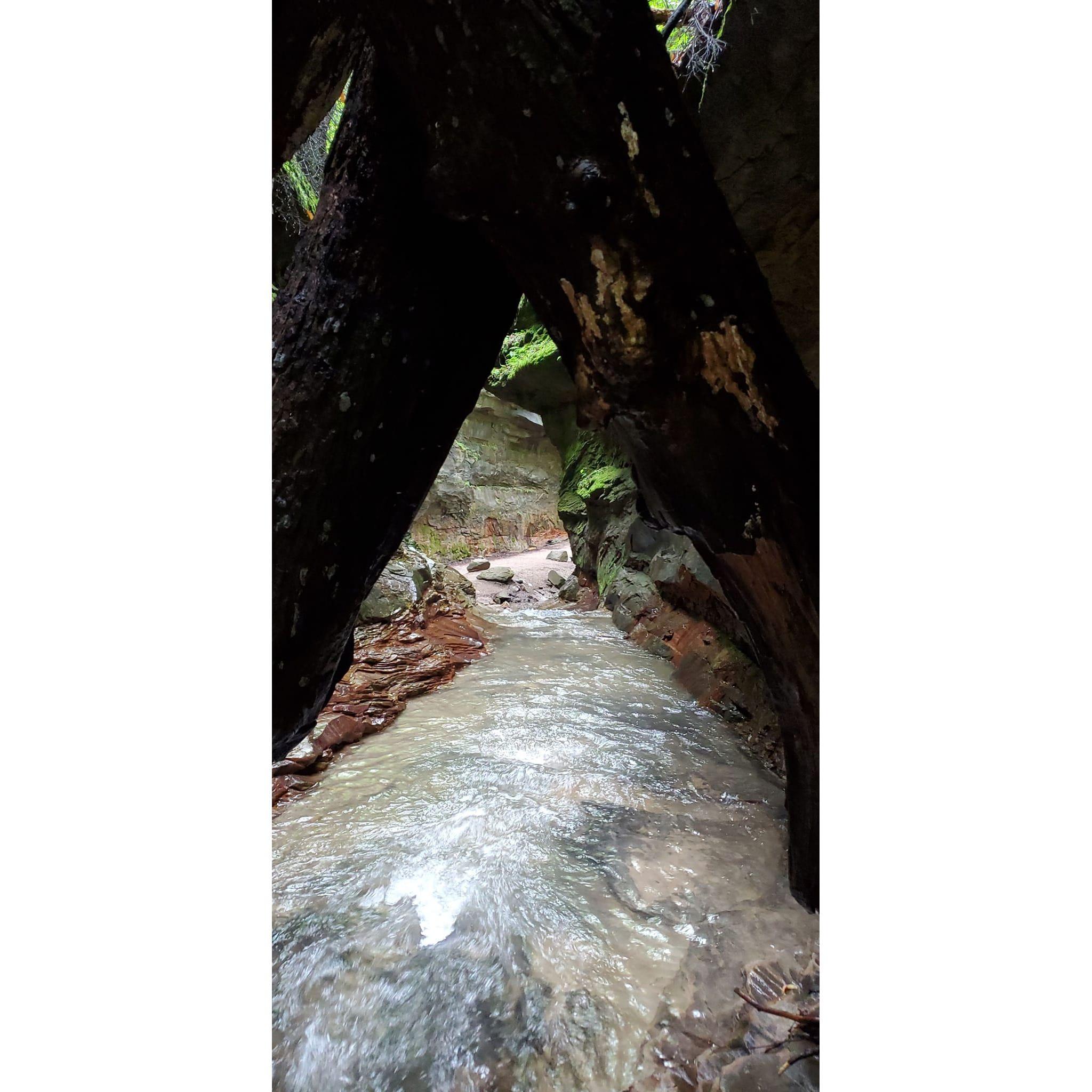 Turkey Run