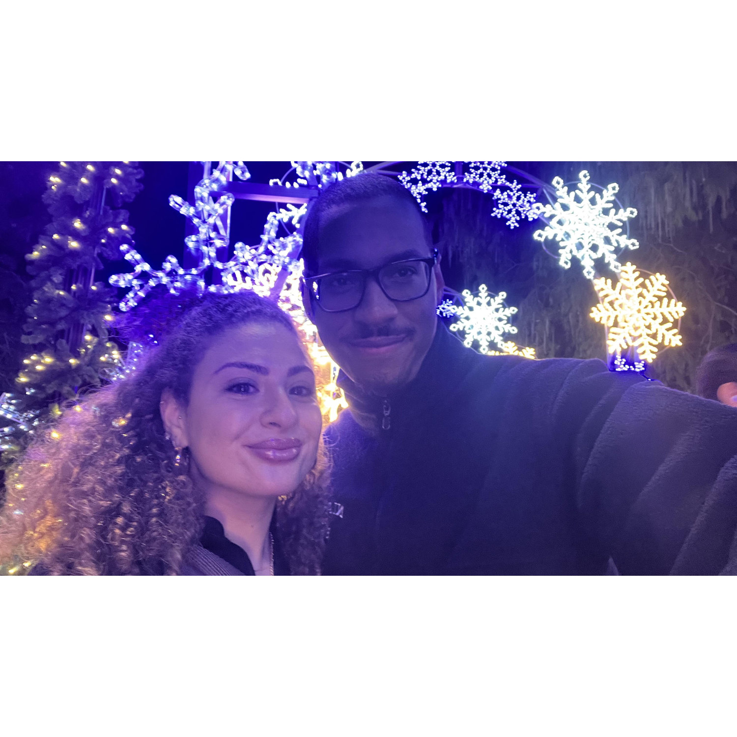 Fun fact: Olivia and Leroy love Christmas lights