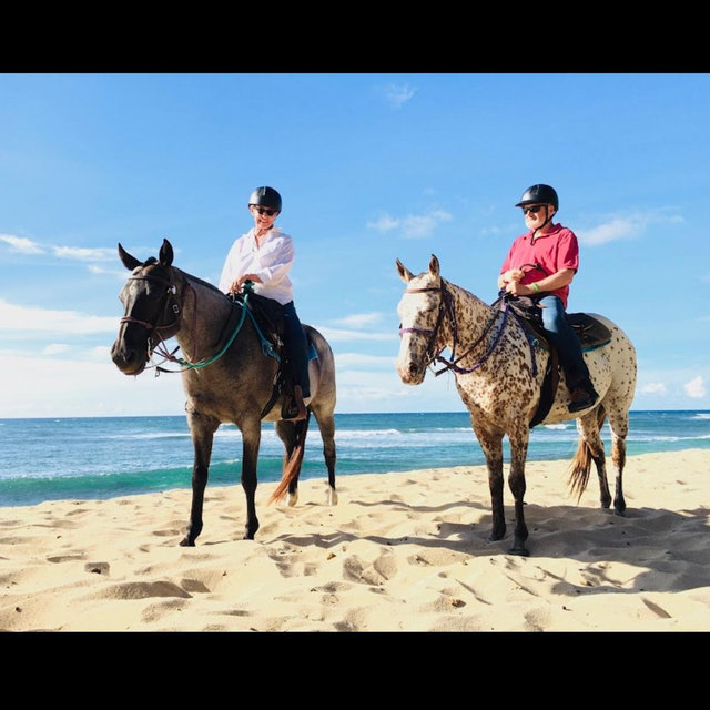 Honeymoon Hawaii Horseback Riding
