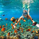 Snorkeling