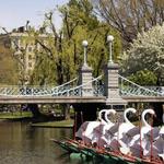Public Garden