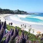 Carmel Beach