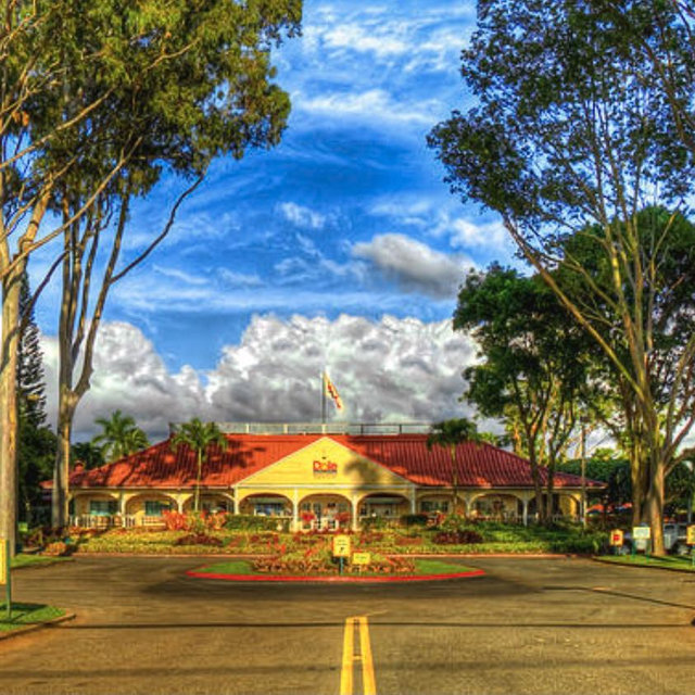 Lunch and Tour at the Dole Plantation