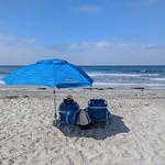 Torrey Pines State Beach