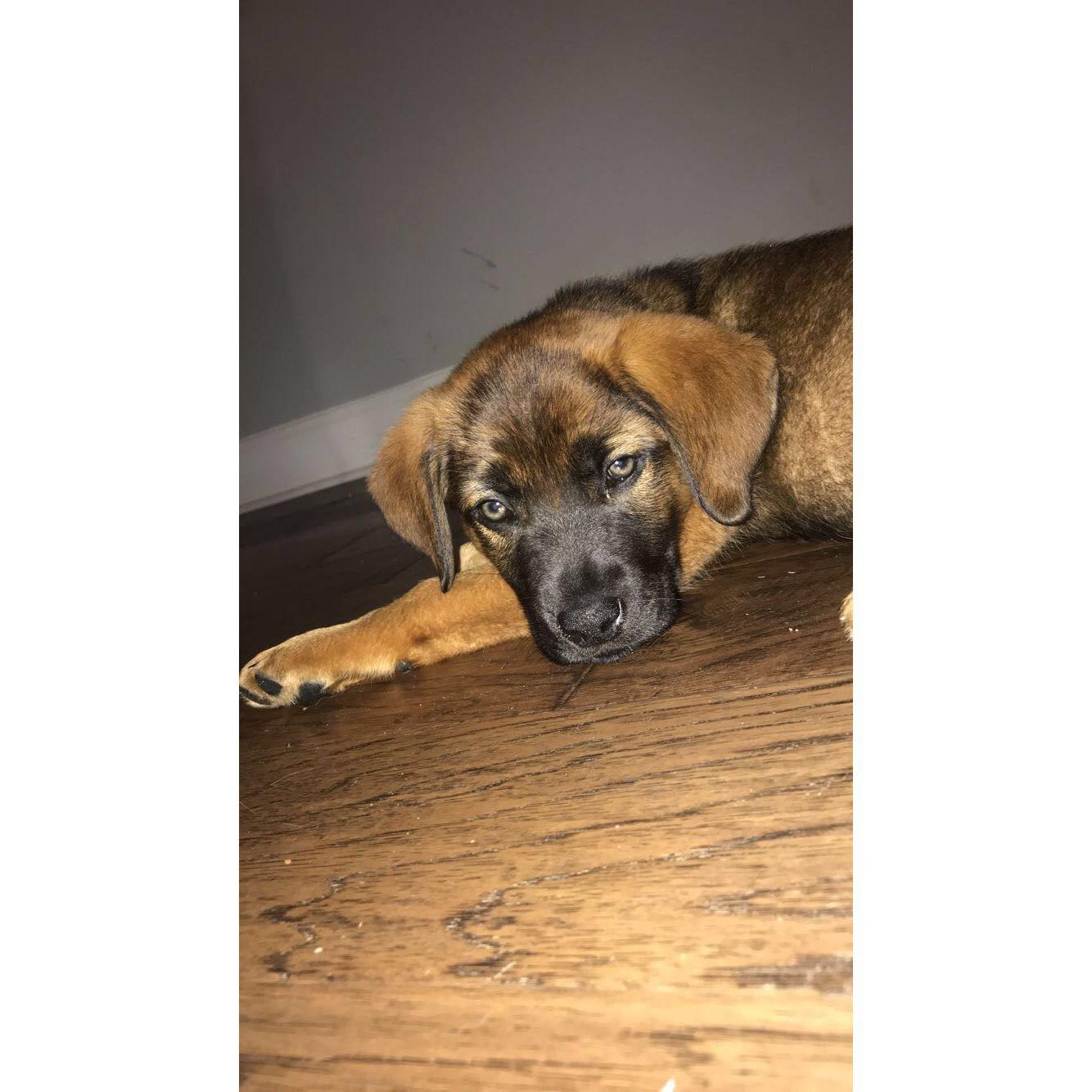 Right when we got Duke!