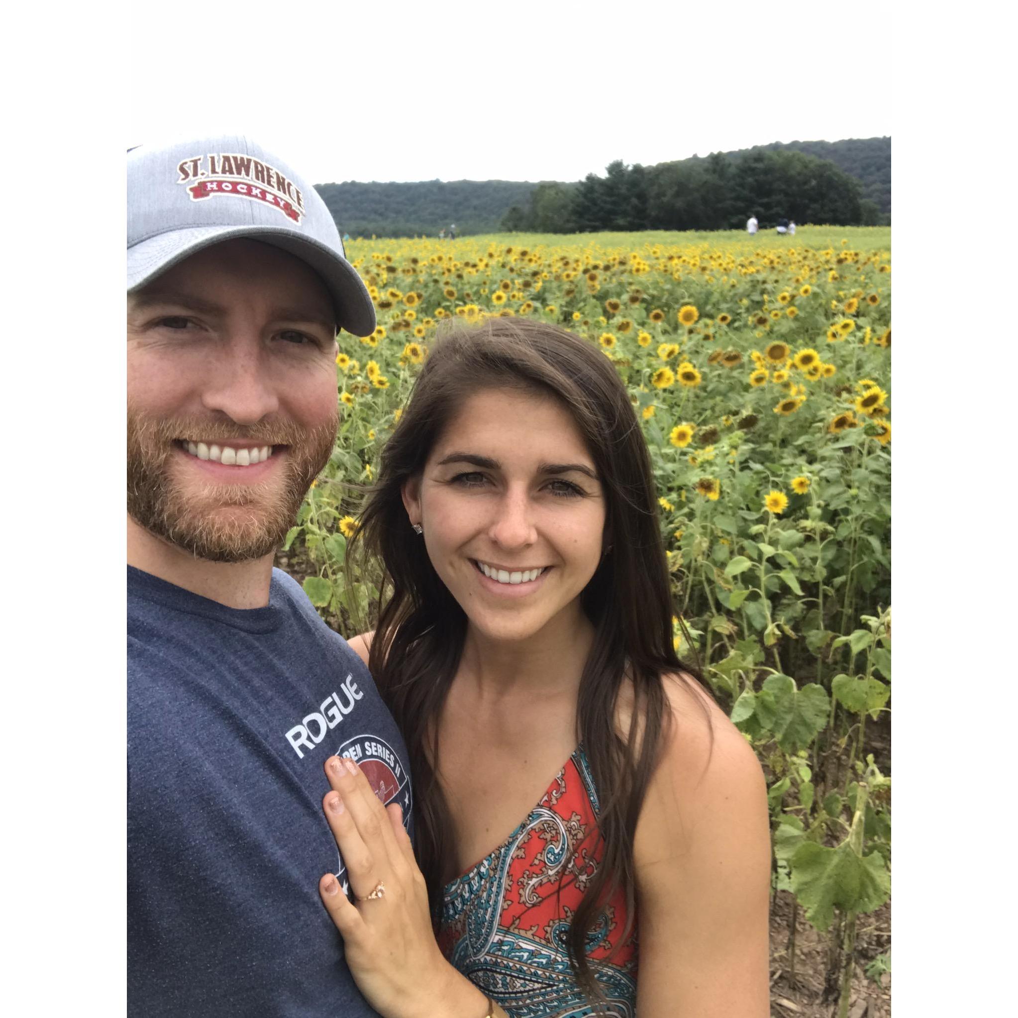 Mini-engagement photo shoot in the sunflower field in Orwigsburg, PA, August 2020!