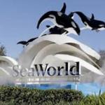 SeaWorld San Antonio