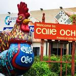 Little Havana