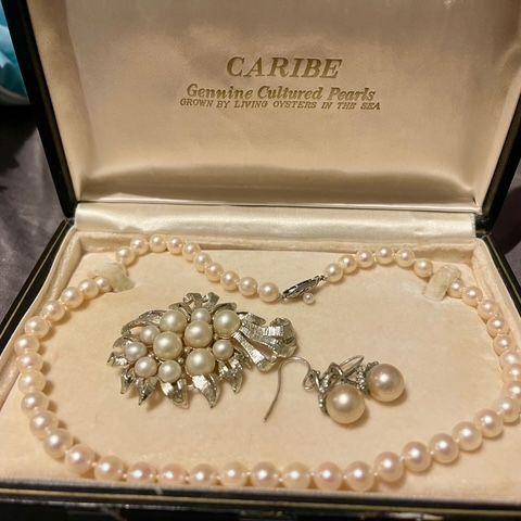 Special things are happening. Thank you cousin Anne for lending Nan's pearls and your special wedding adornments.