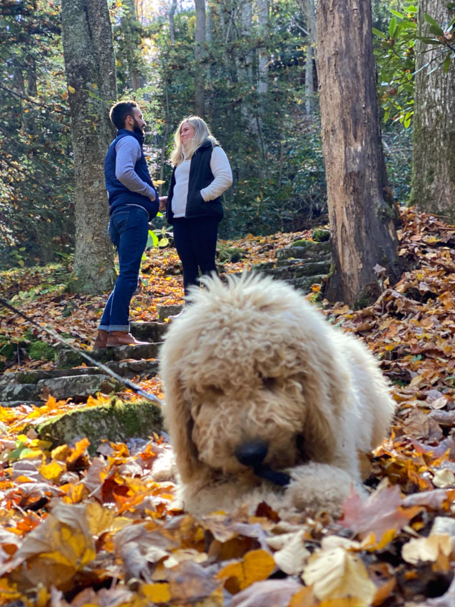 S/O Nikki for getting a fur baby shot!!