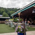 Shy Bear Brewing