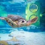 Oklahoma Aquarium