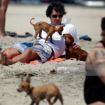 Rosie's Dog Beach