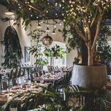 Alma Cocina Latina