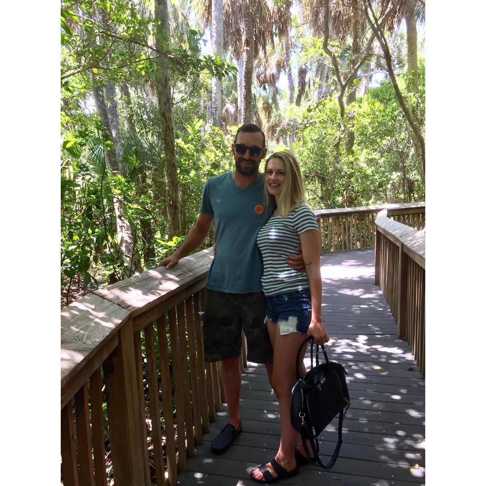 Gumbo Limbo. Boca Raton, FL.